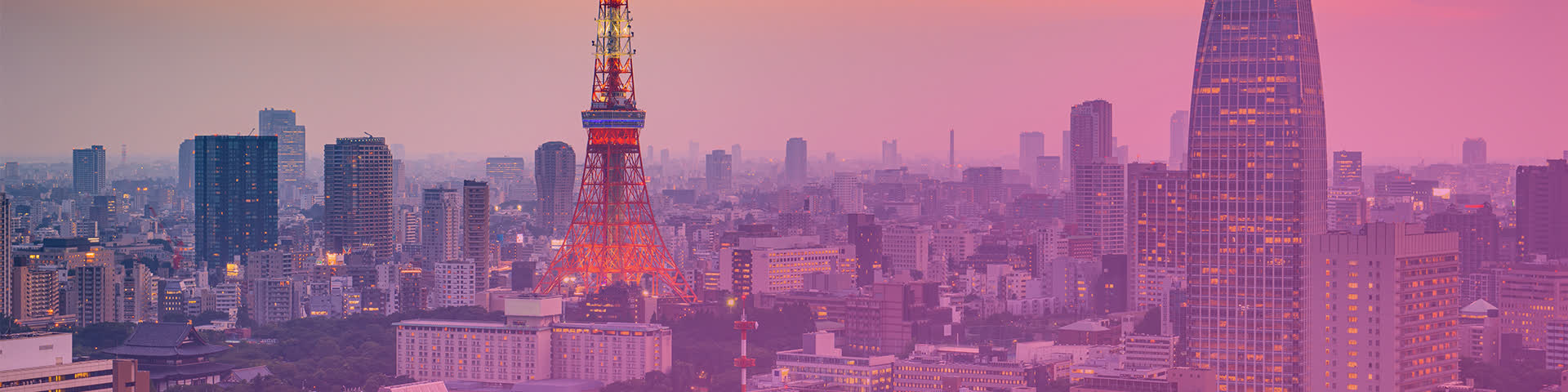 Meet Acceleronix at Japan IT Week Spring